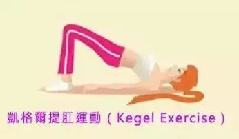 骨盆矫正恢复操,产后骨盆恢复宝妈们可以这样做