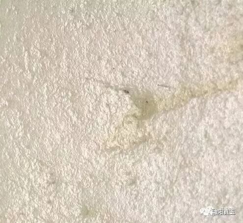 和田玉入门级手镯该如何挑选,挑选和田玉手镯应从哪些方面入手