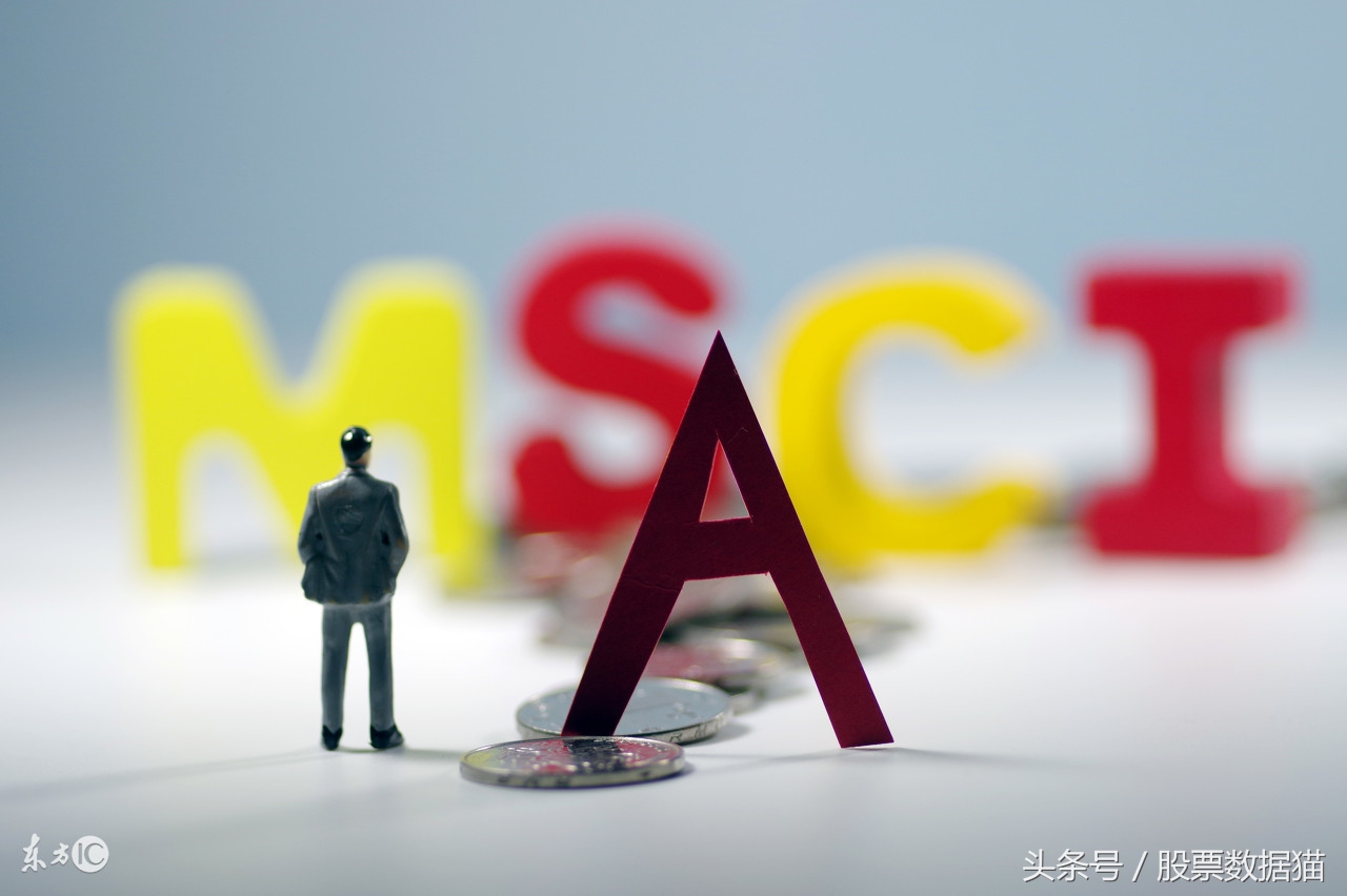 绩优股低价细分龙头,绩优低估值股票