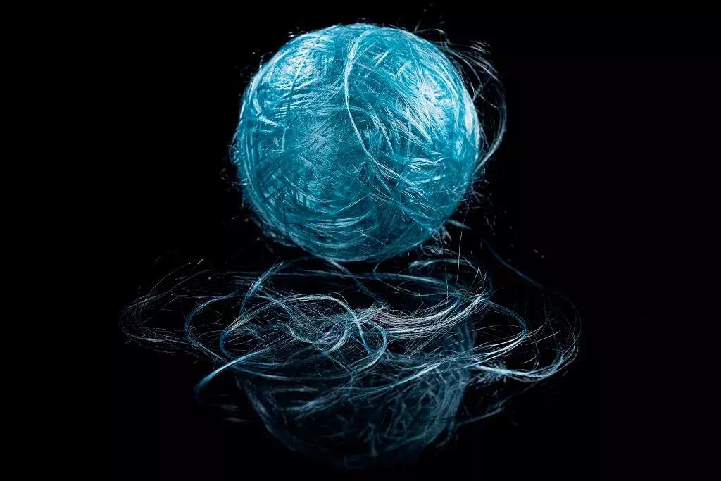 基因重组可以产生新物种吗,基因重组会产生新的基因吗