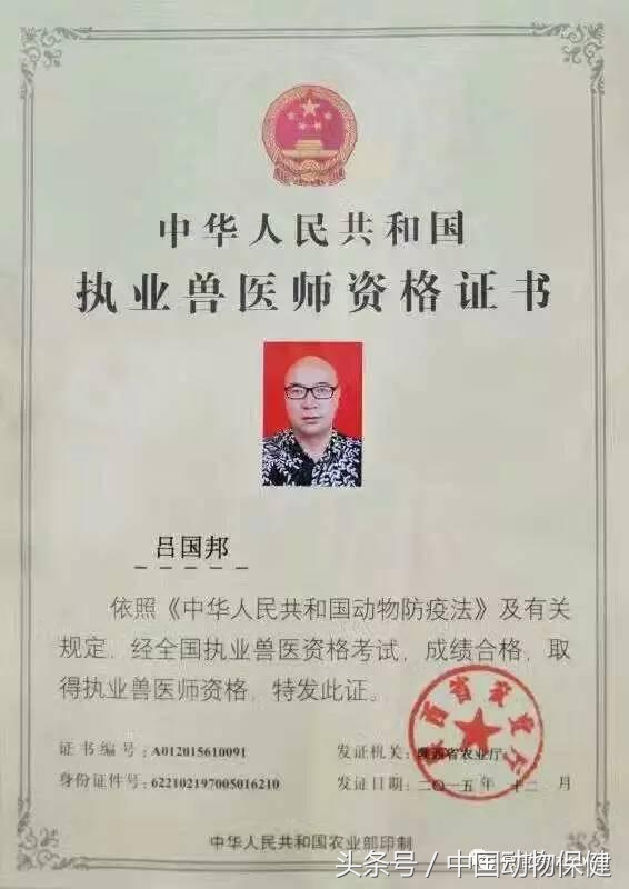 冬季养猪需要注意什么,养猪冬季呼吸道疾病如何预防