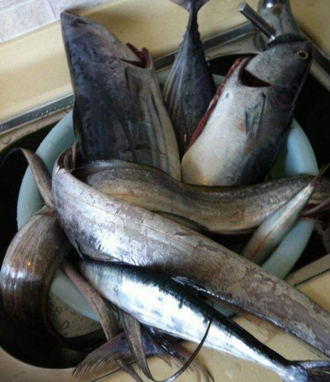 琼海钓鱼场地,海南万宁钓鱼地点推荐