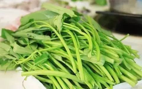 这十条谣言骗了你多年,十大谣言你都信了吗