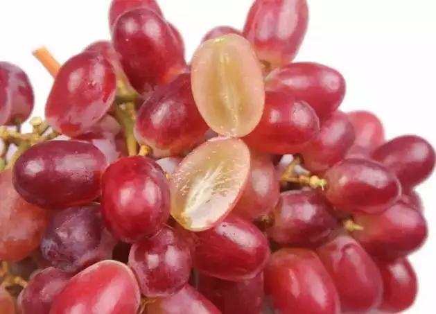 网传吃香椿中毒死亡是真的吗,吃下橘子籽有什么后果