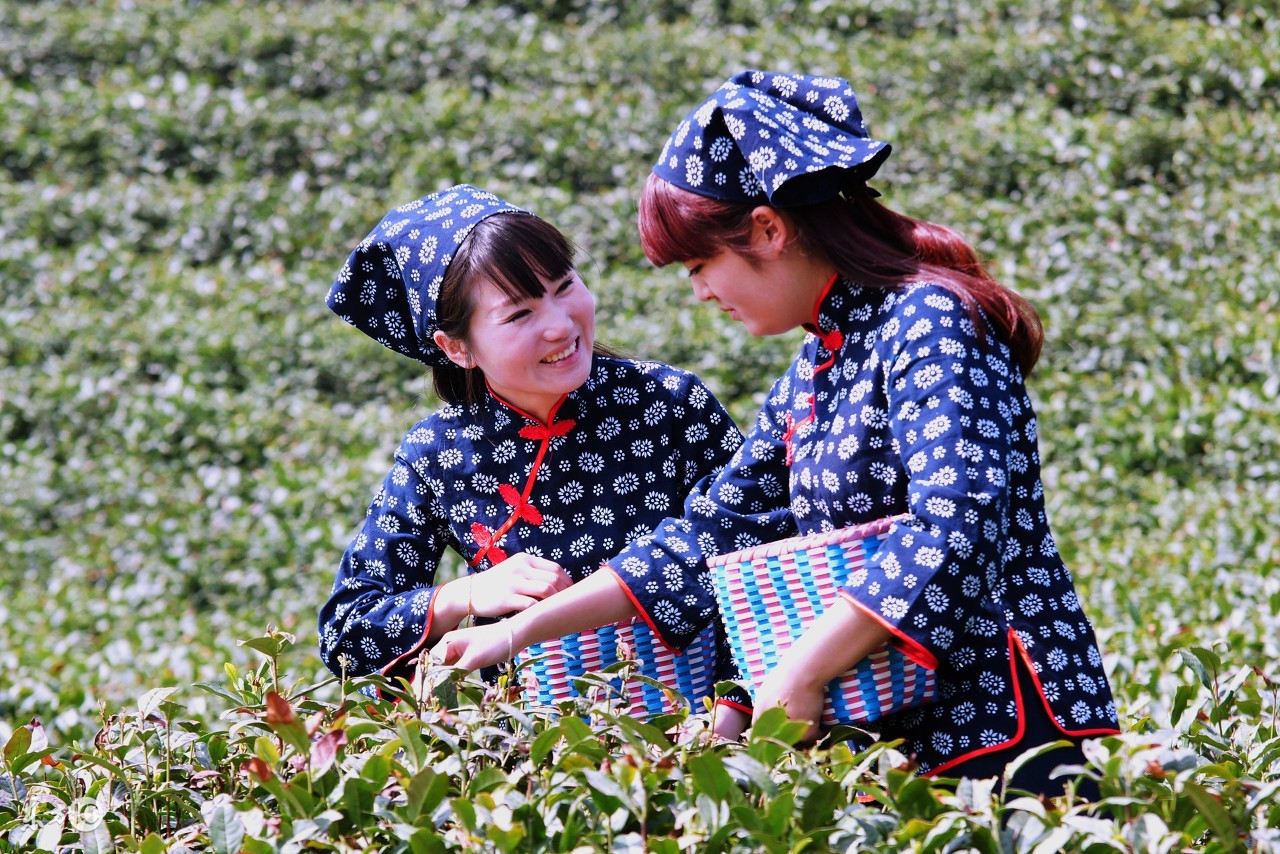缁胯尪鎬庝箞鍠濆鑳冧笉浼よ儍,濂戒竴鐐圭殑缁胯尪涓嶄激鑳冨悧