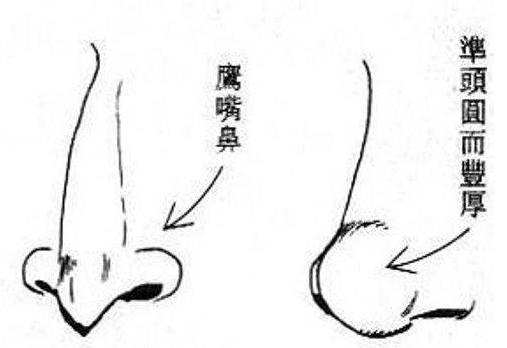 手相的相法,手相教程姻缘