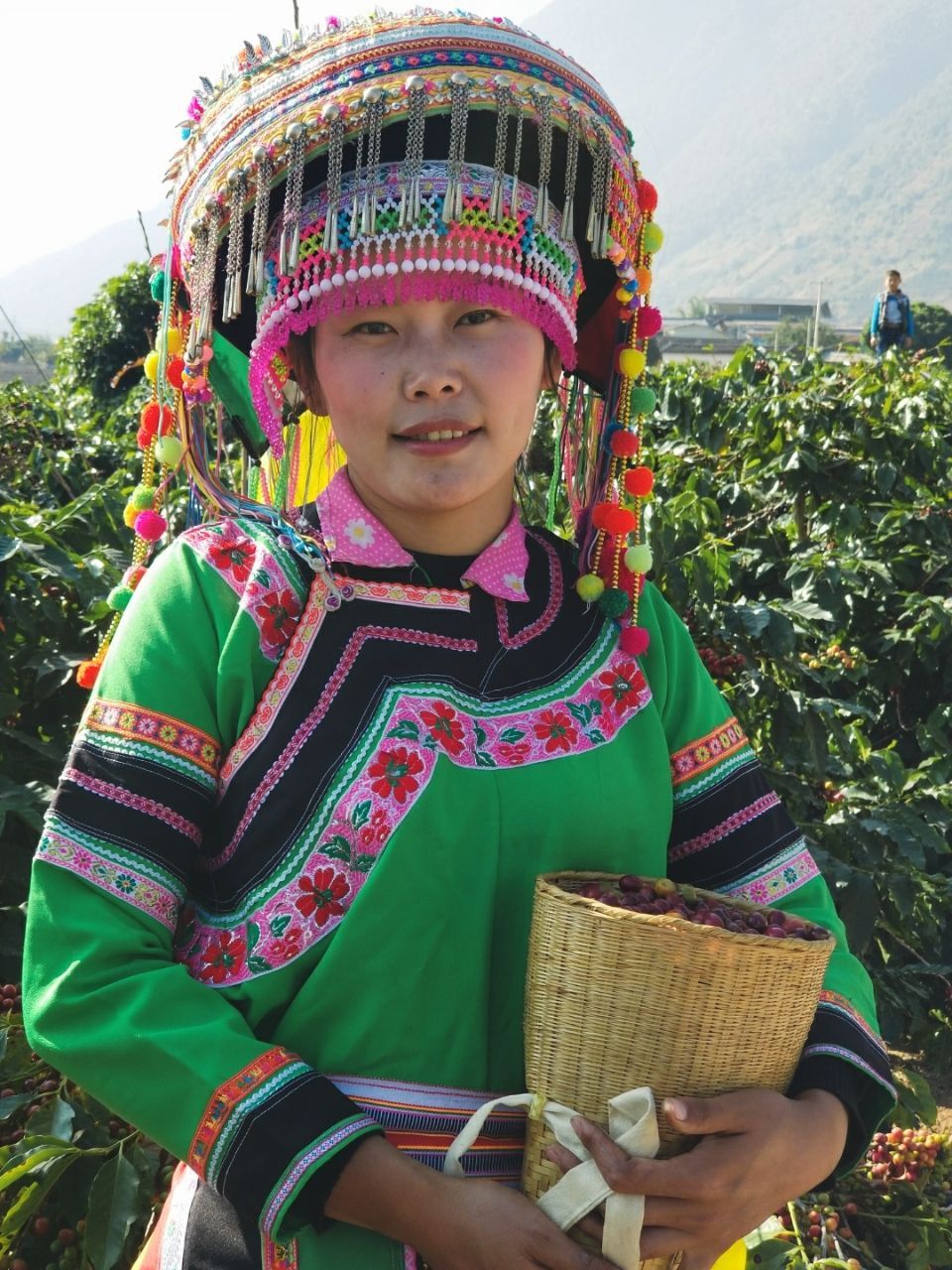 保山小粒咖啡市场分析,云南保山小粒咖啡