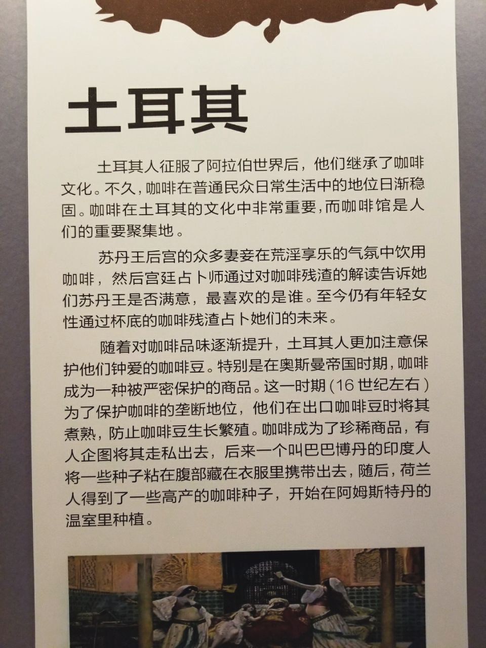 保山小粒咖啡市场分析,云南保山小粒咖啡