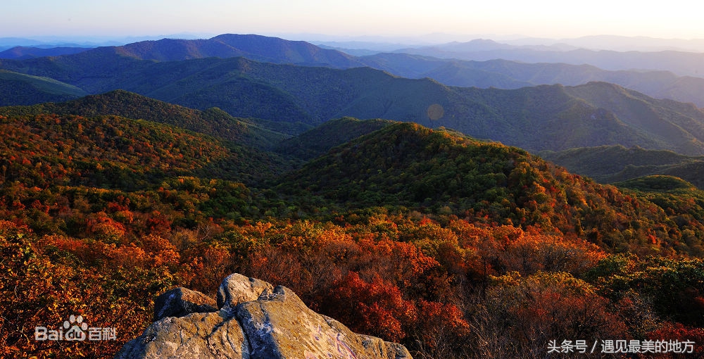 魅力中国城总决赛全集,魅力中国城第一季韩城