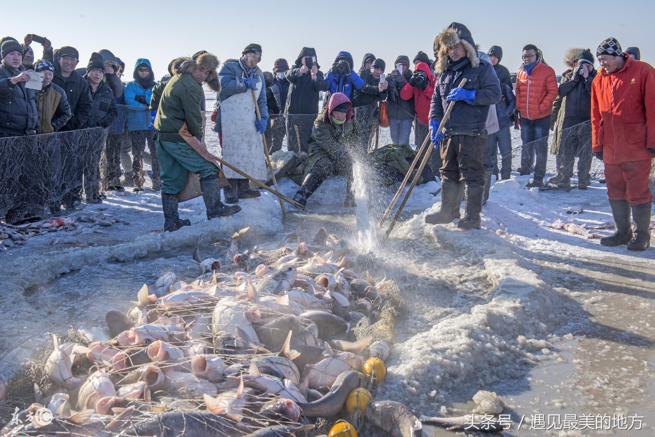 魅力中国城总决赛全集,魅力中国城第一季韩城
