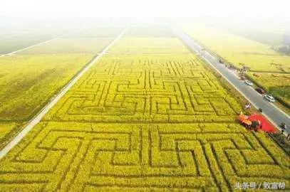 过去免费的致富的好商机,过去免费热门的致富点子