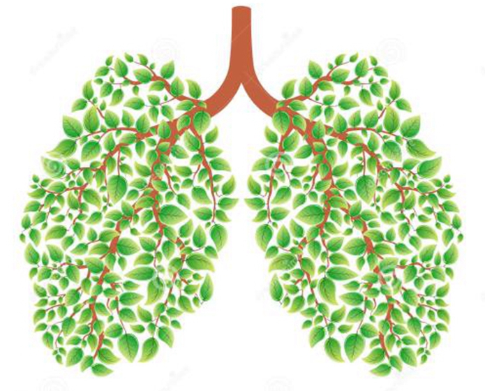 最简单的调理支气管炎的办法,缓解支气管炎最快最有效方法