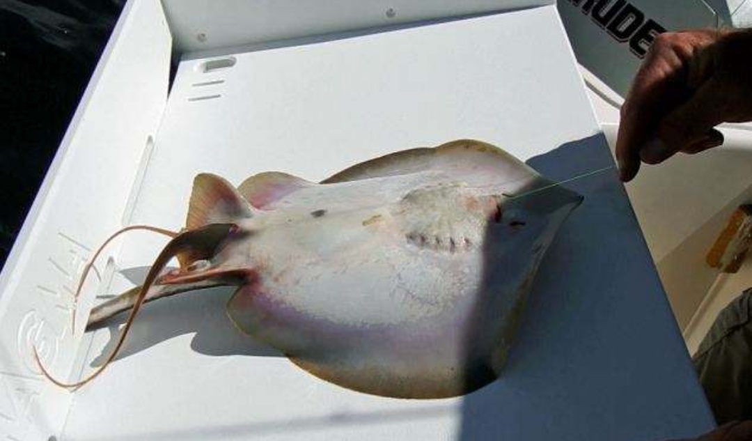 琼海钓鱼场地,海南万宁钓鱼地点推荐