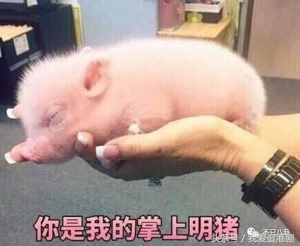 雷佳音郭京飞搞笑场面极限挑战,雷佳音郭京飞颁奖现场段子