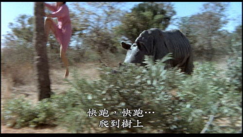 推荐十部经典搞笑电影,10部必看搞笑电影