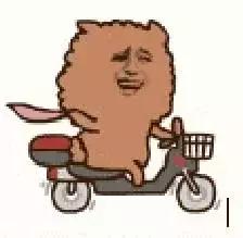 滴滴打驴怎么处罚,南宁滴滴打驴叫停吗