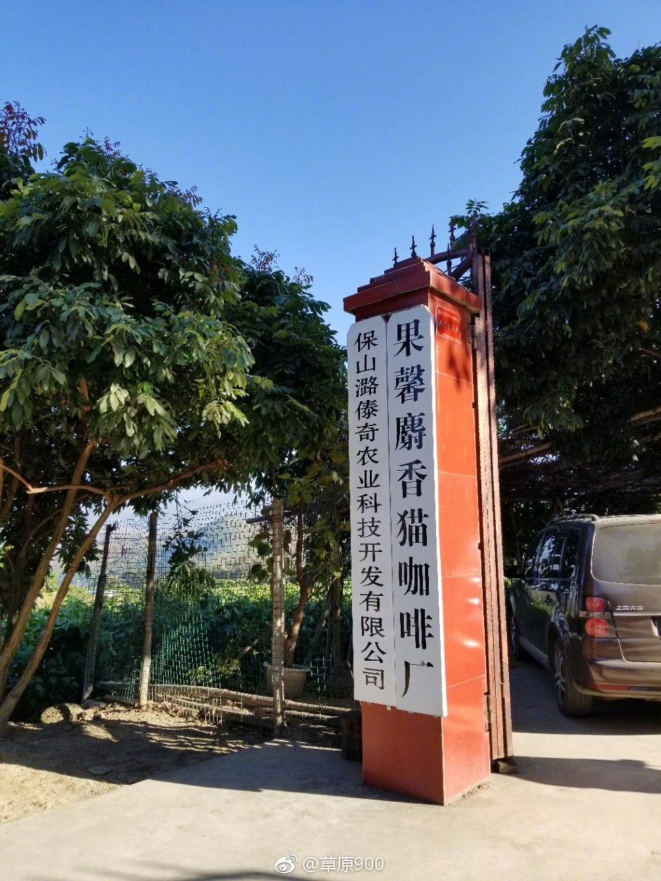 保山小粒咖啡市场分析,云南保山小粒咖啡