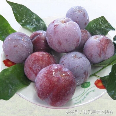 魅力中国城总决赛全集,魅力中国城第一季韩城