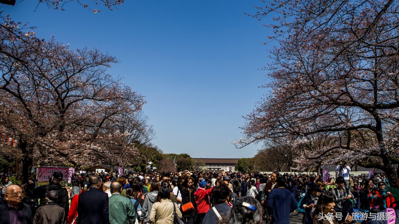 布拉格走马观城,走马观城林茨茨