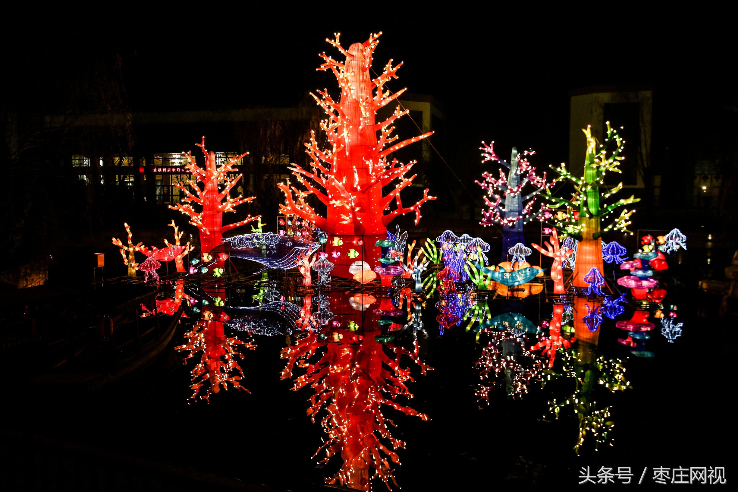 台儿庄花灯节表演,夜游台儿庄古城看灯会