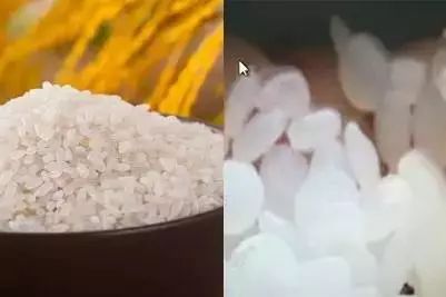 这十条谣言骗了你多年,十大谣言你都信了吗