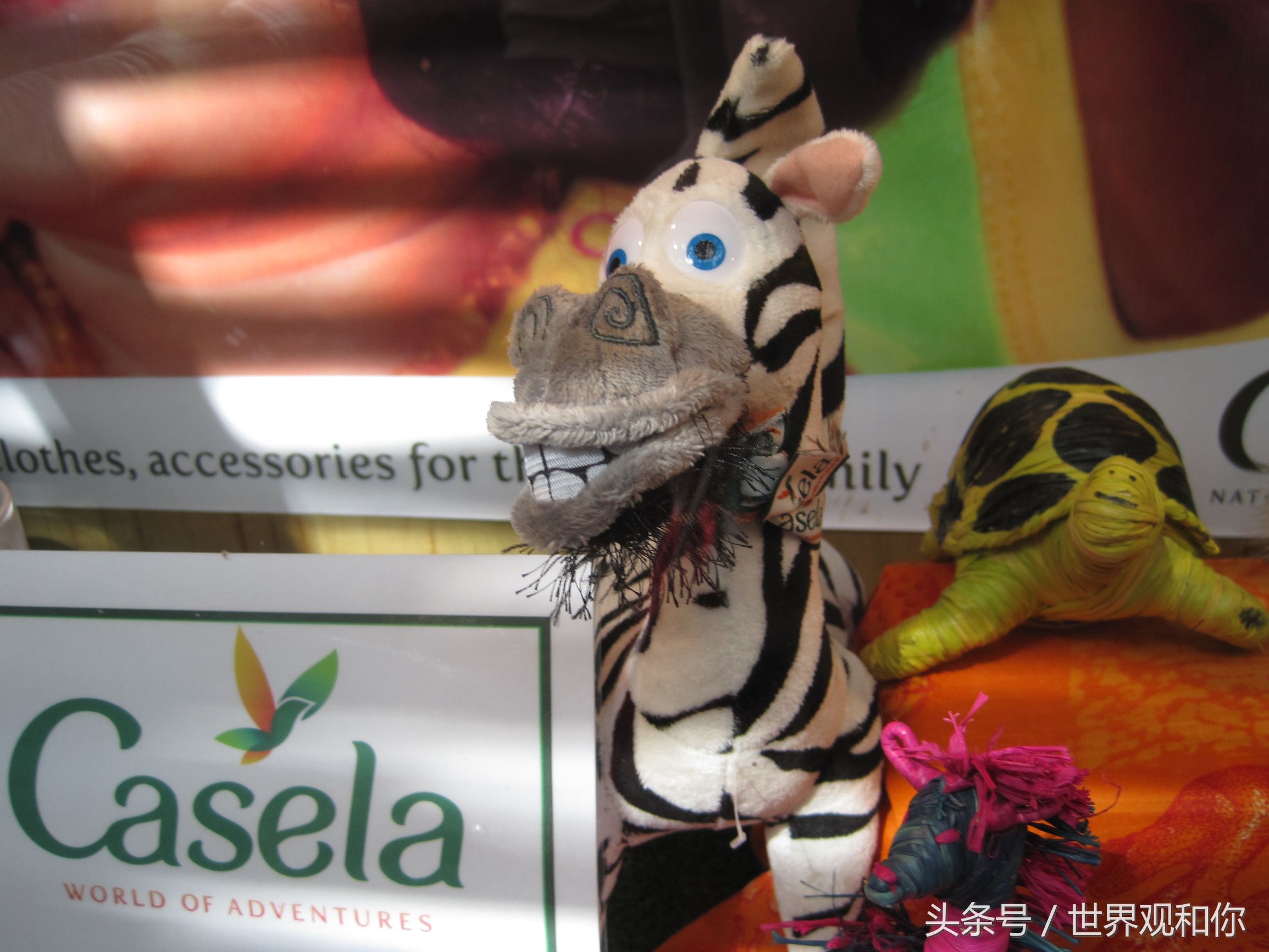 旅行毛里求斯,毛里求斯5天4夜游记