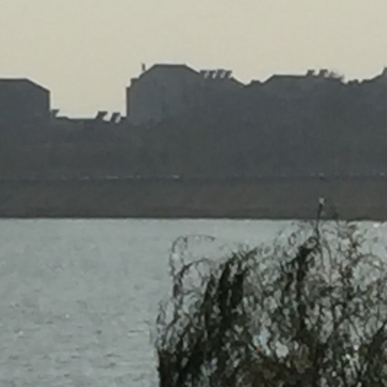 大趾头长，先死娘，我的脚大，趾头长，我的母亲嫌弃了我