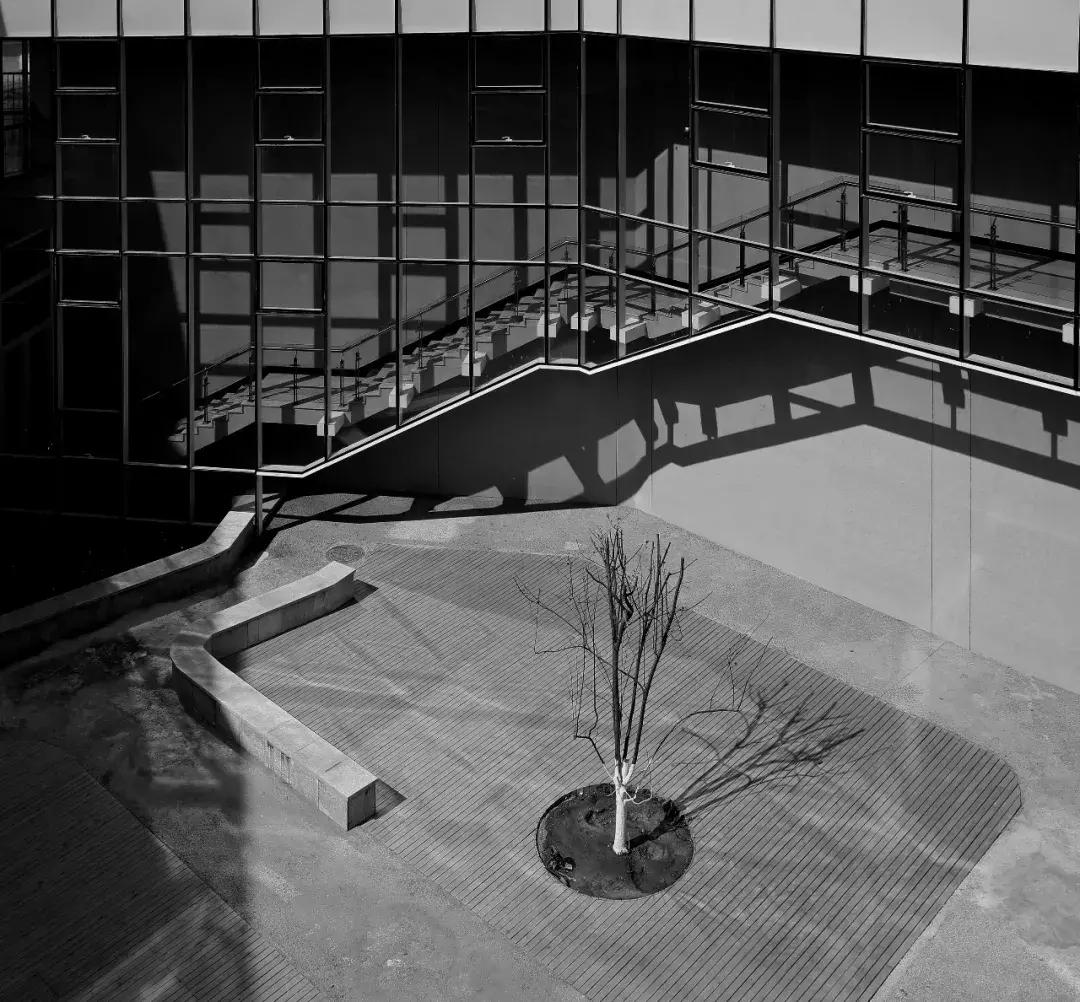 南开青少年活动中心,南开大学津南校区学生中心