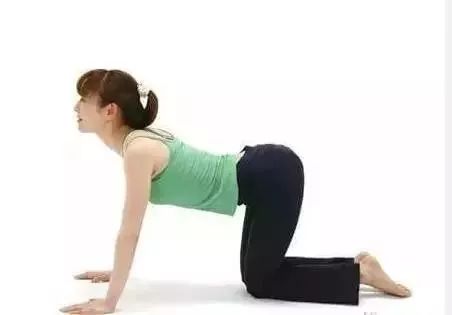 骨盆矫正恢复操,产后骨盆恢复宝妈们可以这样做