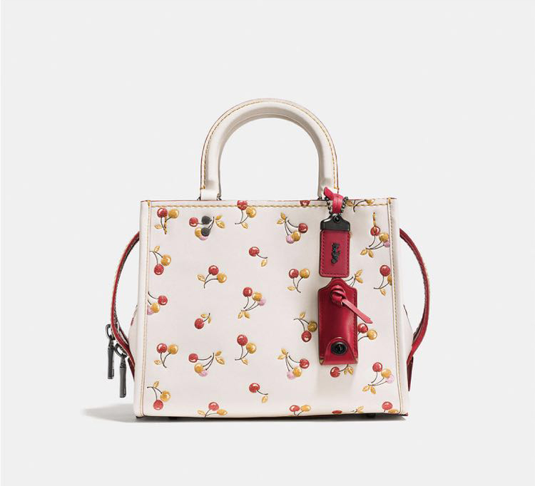 mk和coach包包款式一样,给女朋友买coach