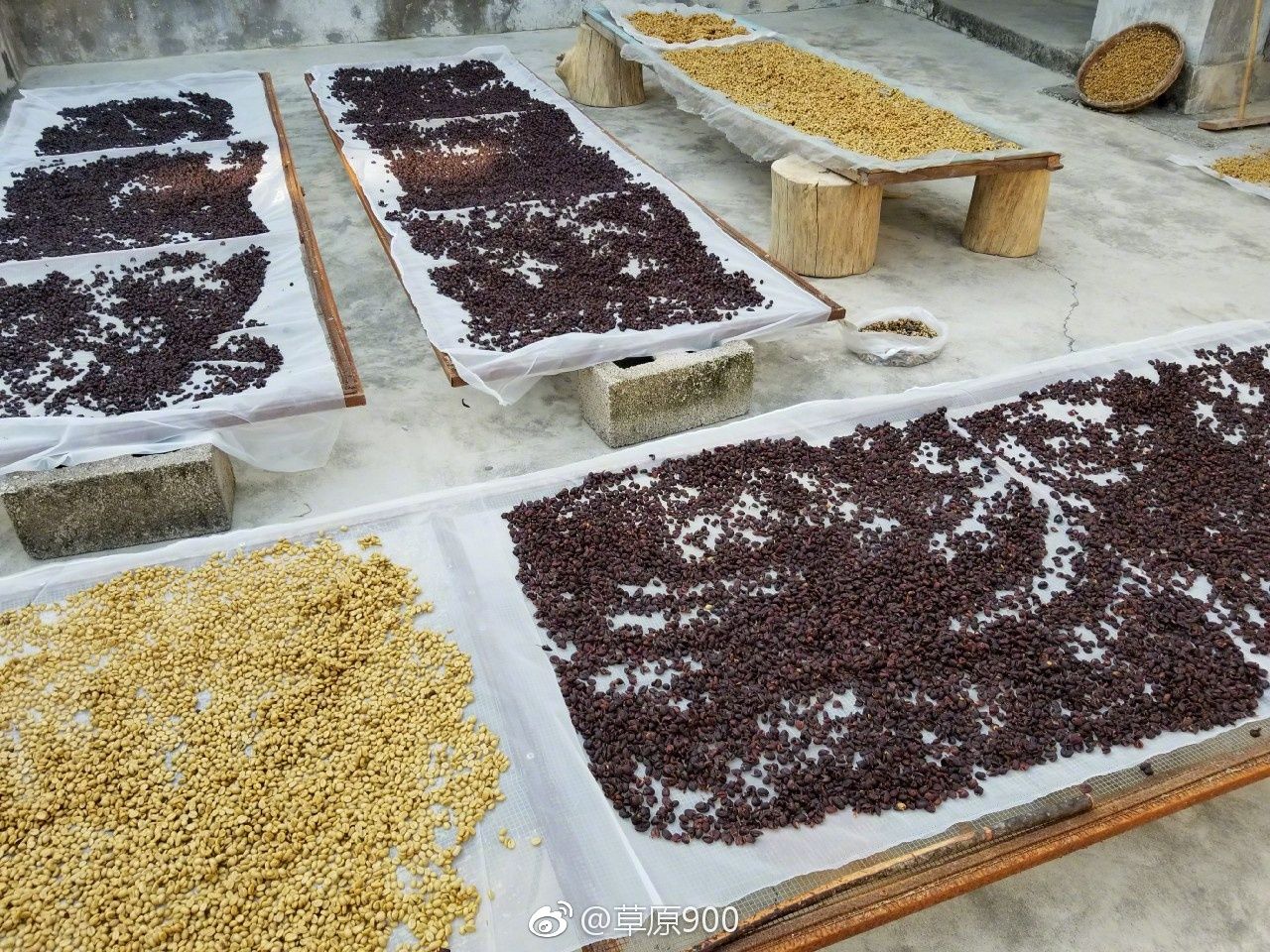 保山小粒咖啡市场分析,云南保山小粒咖啡