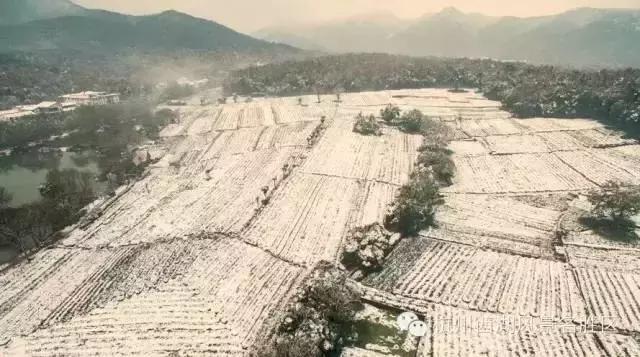 杭州大明山滑雪,杭州的雪什么时候来