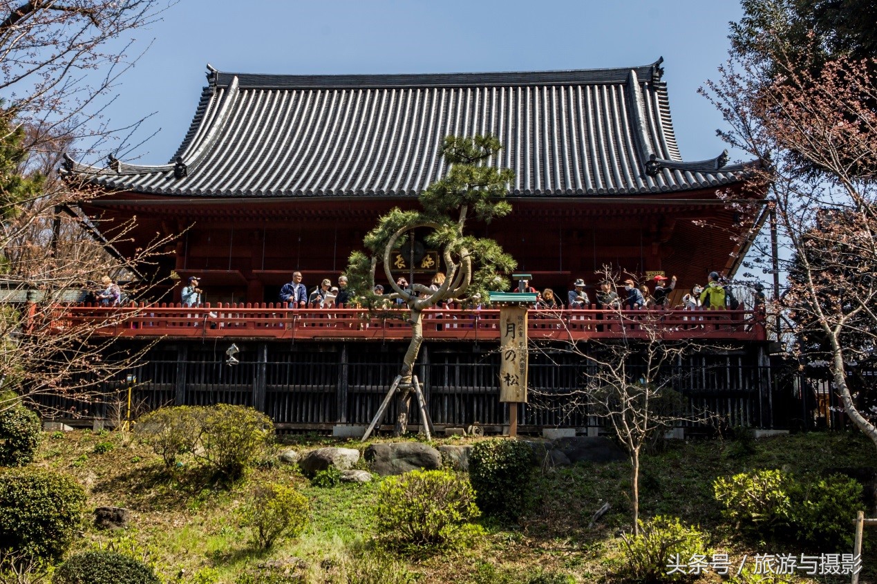 布拉格走马观城,走马观城林茨茨