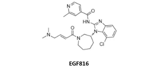 egfr突变非小细胞肺癌临床试验,EGFR肺癌