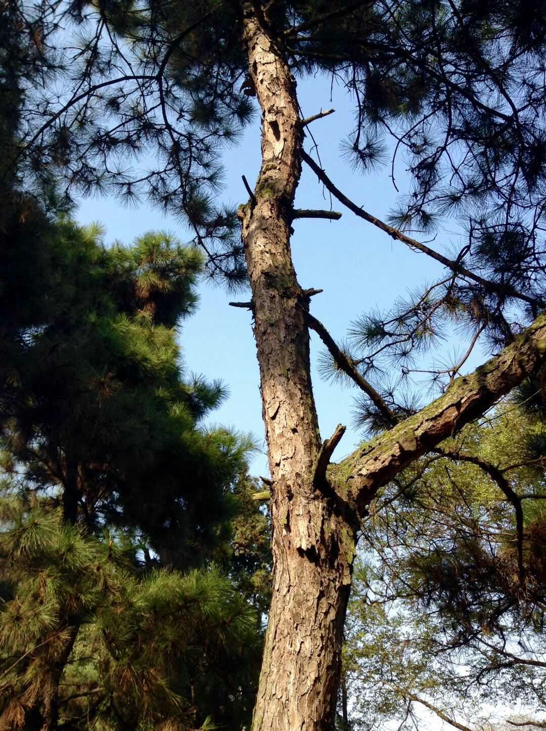「今日读史」易经启示录山泽损