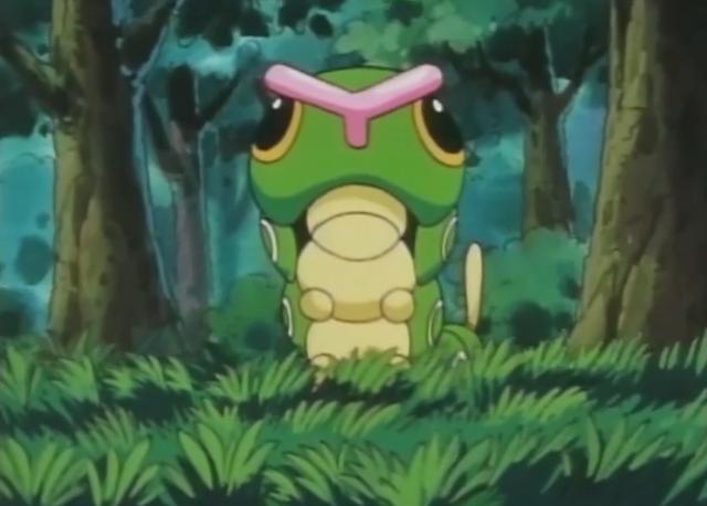 盘点所有的虫系神奇宝贝,红毛虫进化型神奇宝贝