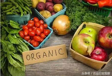 全国农业发展十大机遇,中国农业十大进展