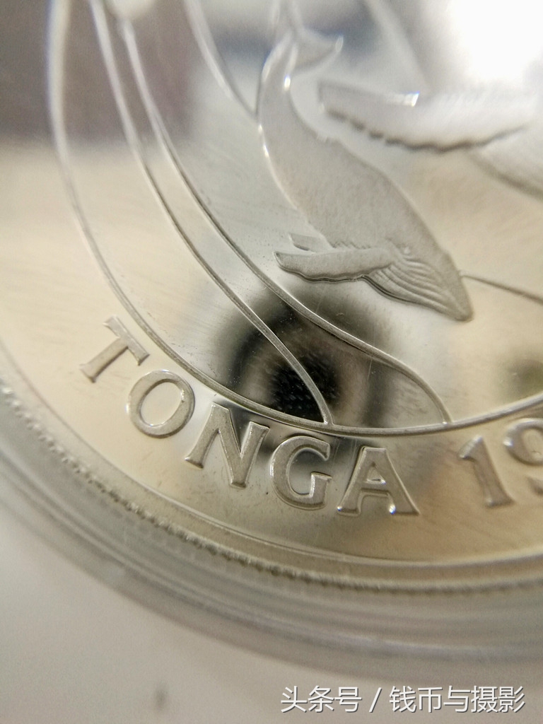 汤加的珍惜鲸鱼银币
