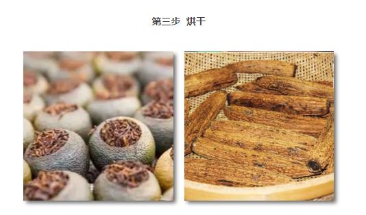 一根苦瓜茶的故事:看到最后忍不住想“暴打”习茶君