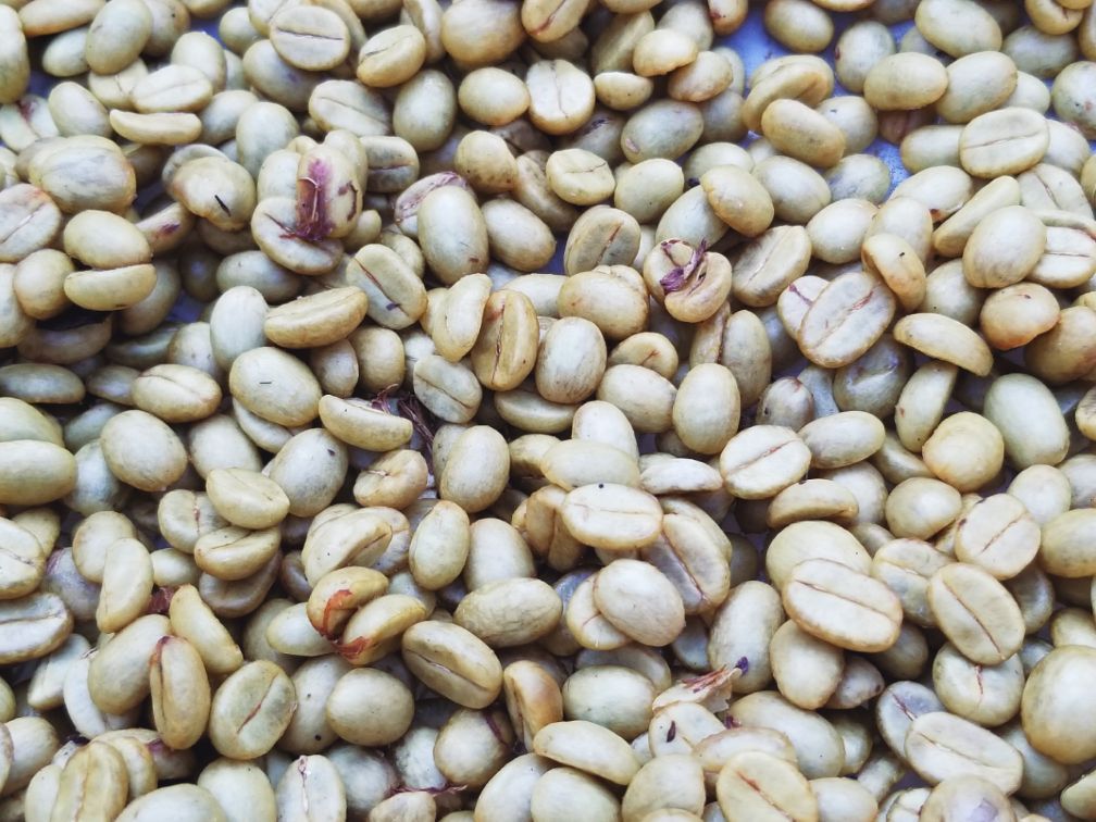 保山小粒咖啡市场分析,云南保山小粒咖啡