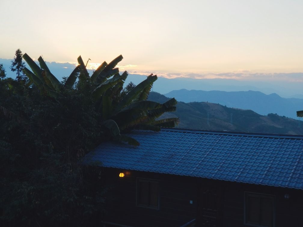 保山小粒咖啡市场分析,云南保山小粒咖啡