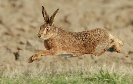 高密原创文学｜“钩”出吃货那些事（文/王有志）