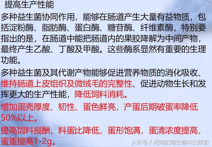 养鸡成活率低怎么解决,产蛋率下降了怎么快速提上去