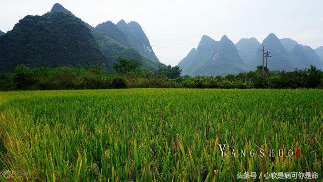 阳朔世外桃源真的美,阳朔美得那么平静