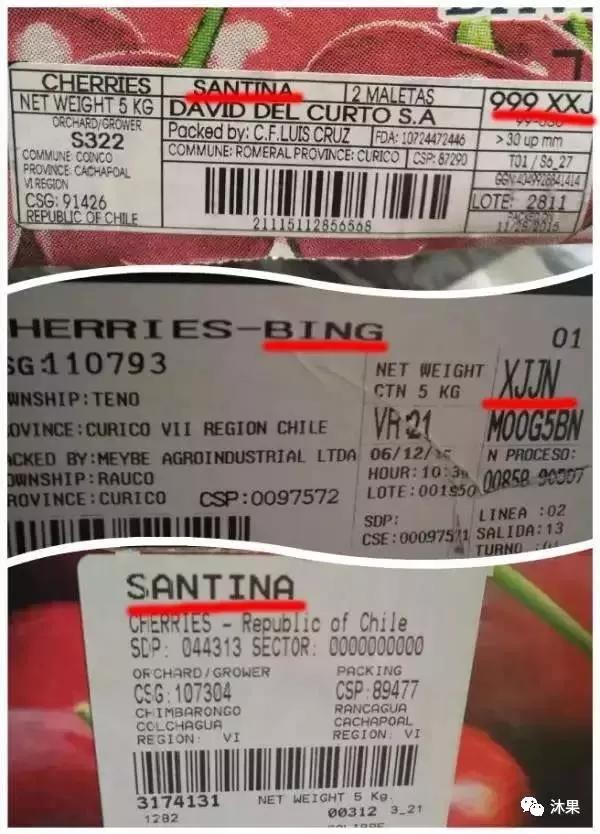 2月车厘子怎么挑选,夏季车厘子怎么选