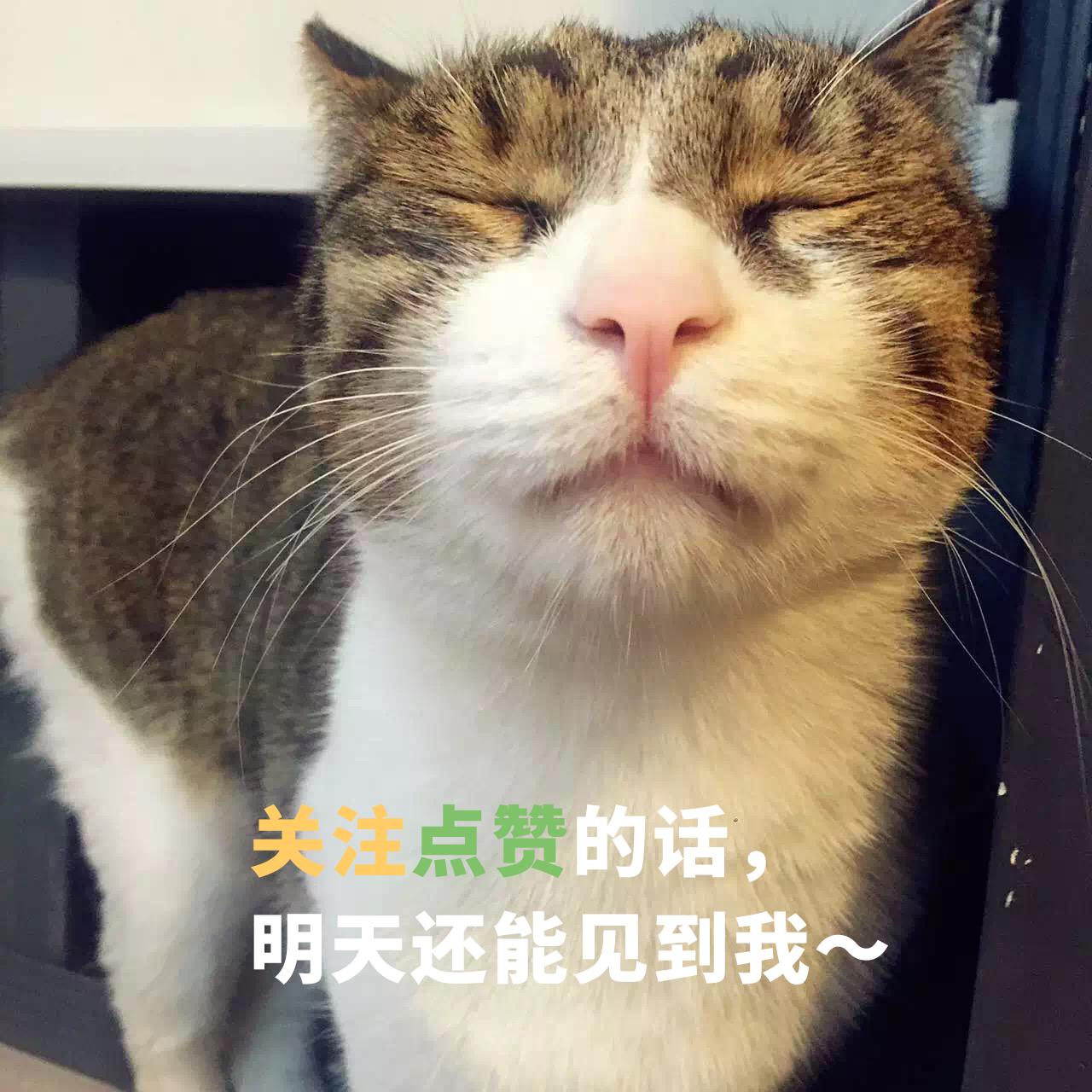 肉蟹煲最正宗的来自哪里,哪的肉蟹煲最好吃