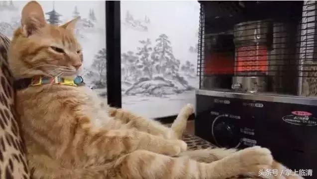 看哭了！工资少的临清人这些年原来都是这么过冬的！