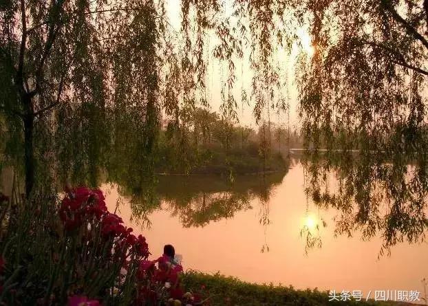 这是一所神奇的学校英文,这是一所神奇的学校