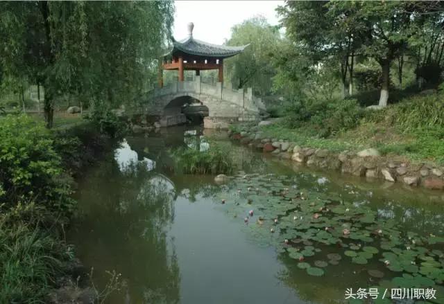 这是一所神奇的学校英文,这是一所神奇的学校