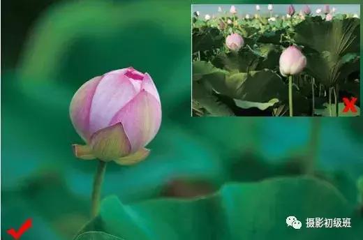 摄影构图技巧和细节入门,摄影基础知识入门构图书籍推荐